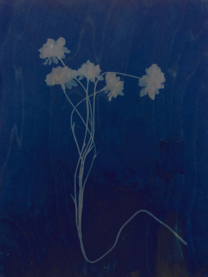Simulacrum Panel 3 Plastic Flower Blue Cyanotype