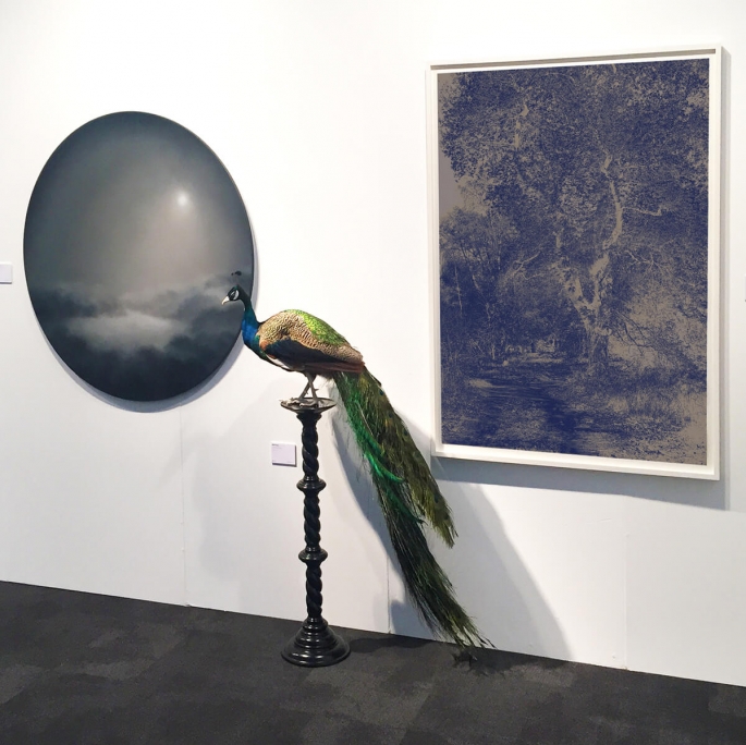 art fair 2021 