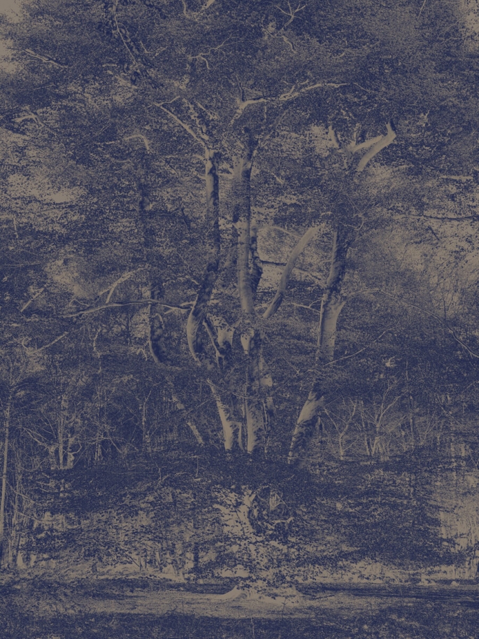Canopy Blue Tree Print Artwork