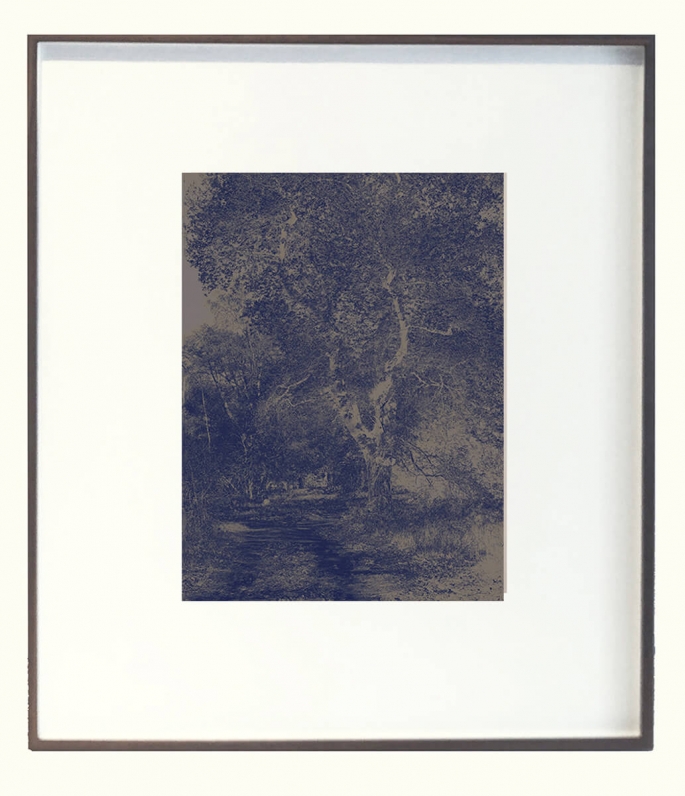 Wake Valley Print Artwork Framed