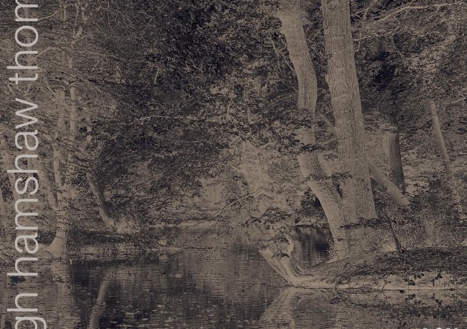 London Art Fair 2019 Lakes End Charcoal Promotion