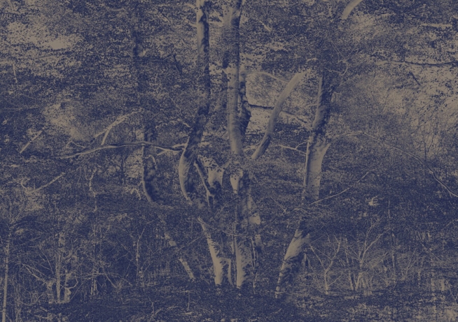 Canoty Blue Tree Print Artwork