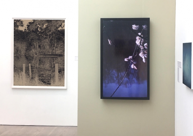 Fair For Saatchi  2019  ​Gallery view 