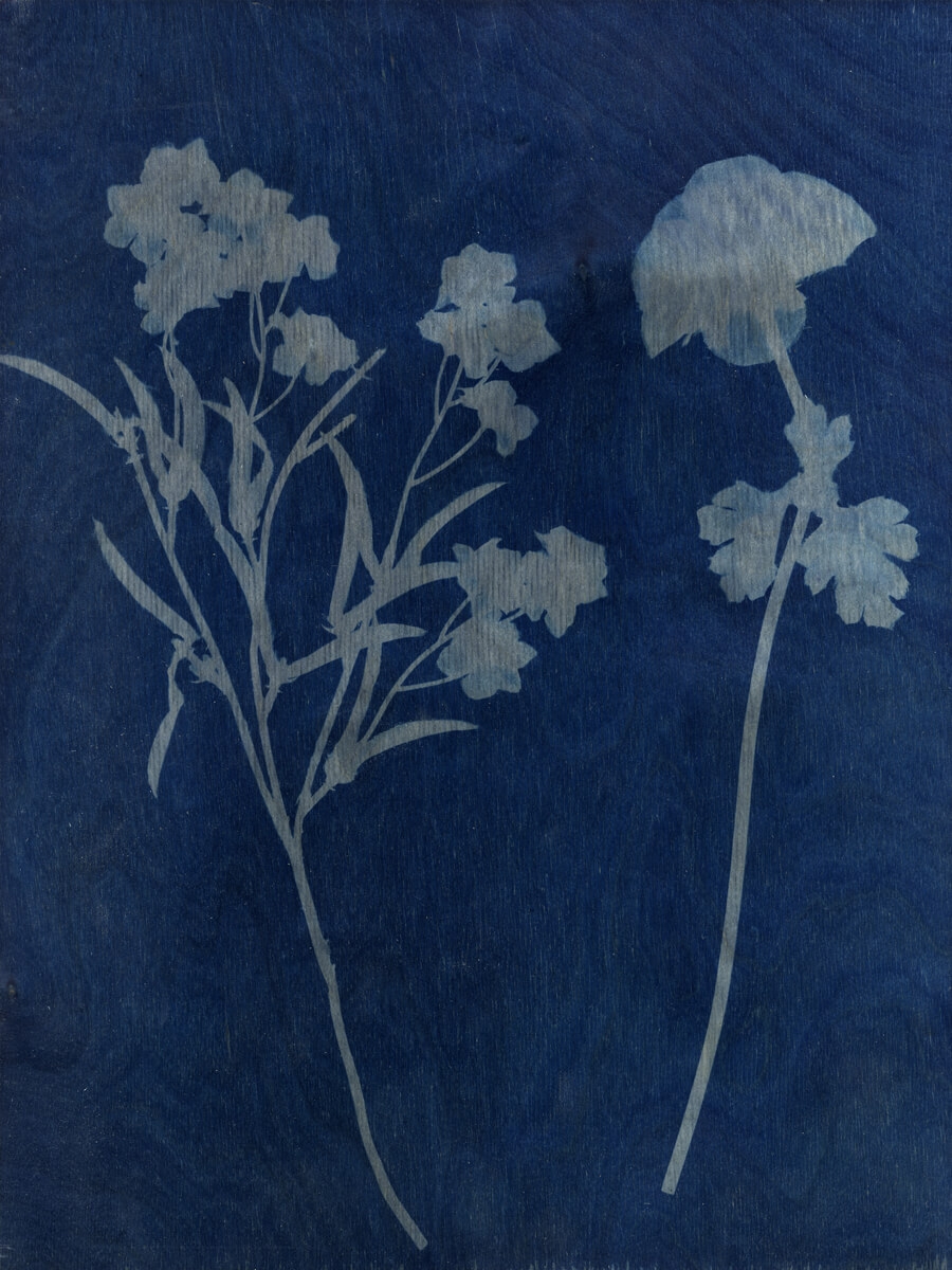Simulacrum. #1 – 2017.30cm x 40cm. 
