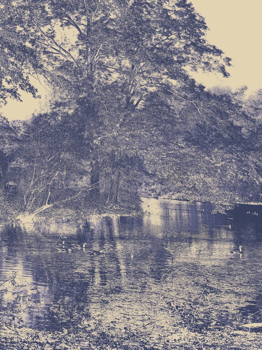 Emerald Necklace Project Scarboro Pond  Chinese_ orcelain_ lue Artwork Print