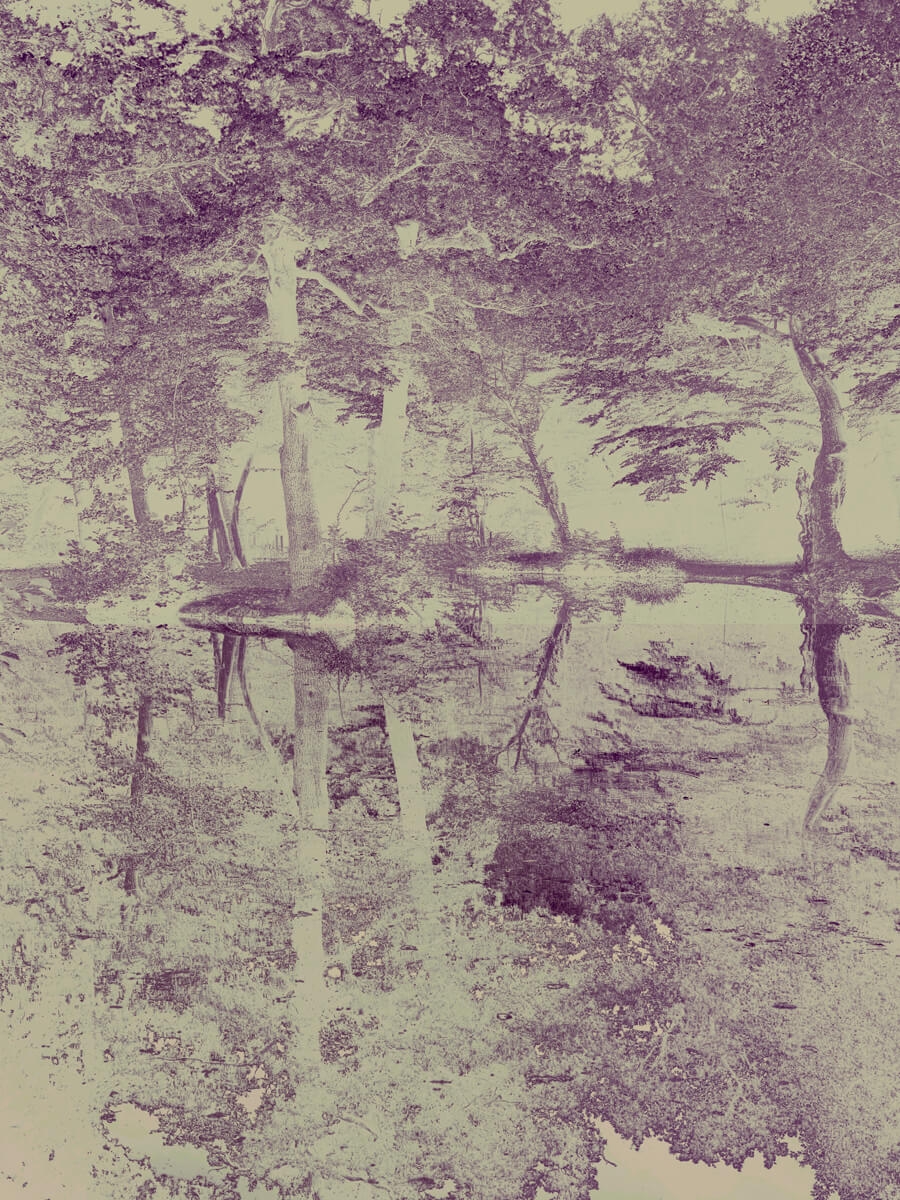 Lake, Sweet Arcadia Puce Artwork Print