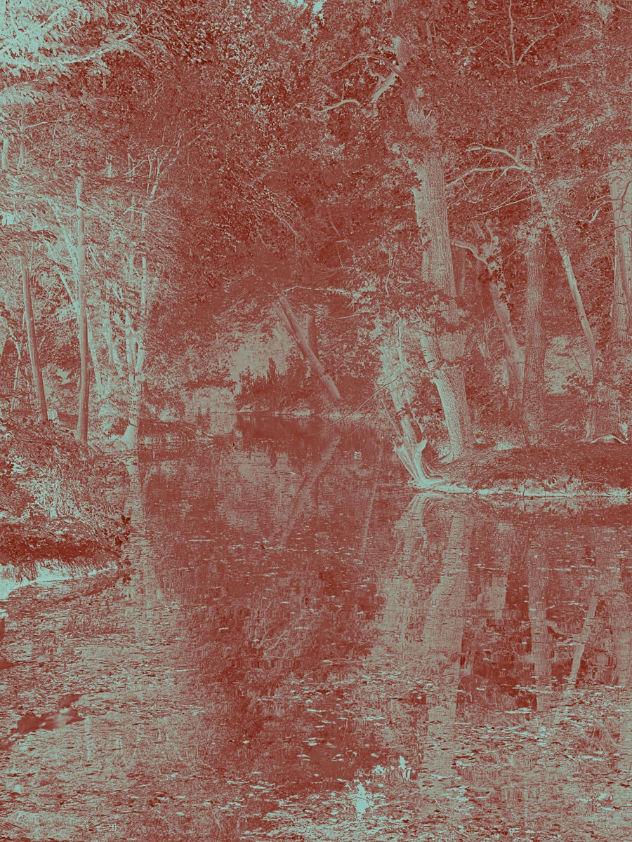 Lake's Edge Orange Artwork Print