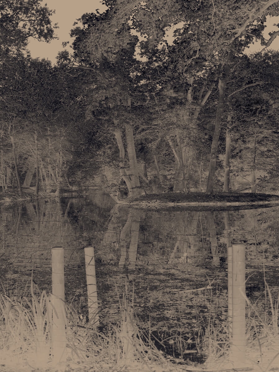 Lake's End Charcoal Artwork Print