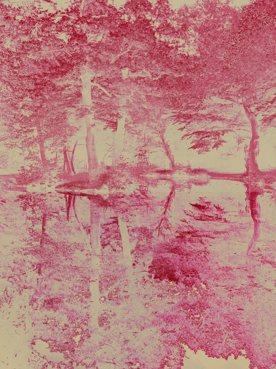 Pink Lake Sweet Arcadia Artwork Print