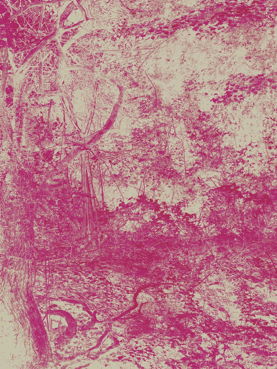 Sod of Earth Artwork Print