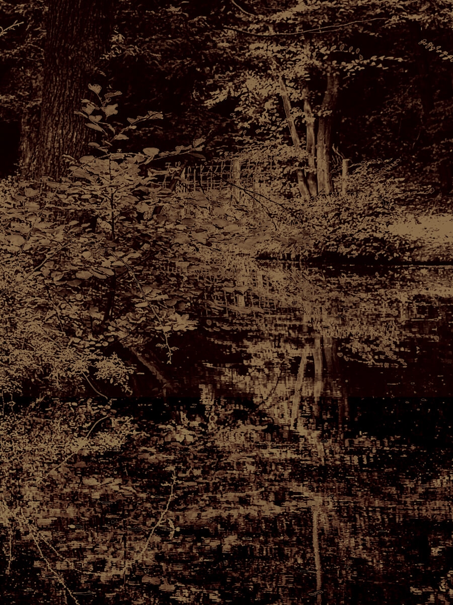Waters Edge Black & Gold Artwork Print