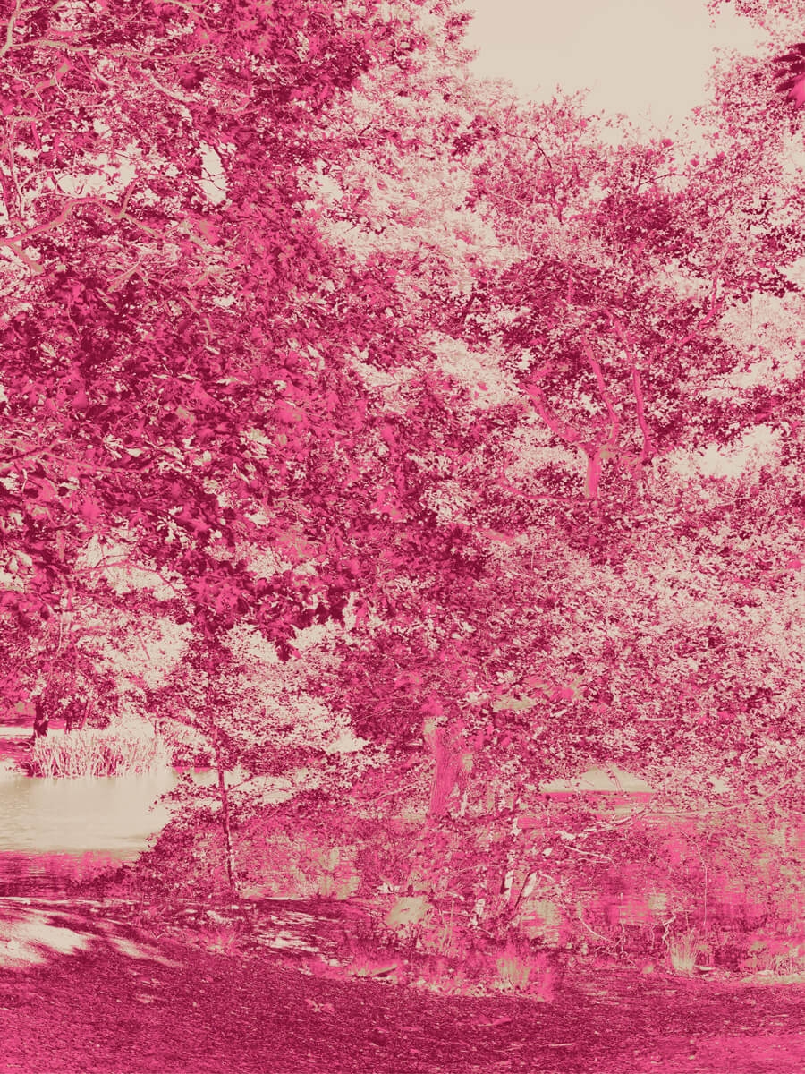 Strawberry Hill Pond Pink Art Artwork Print
