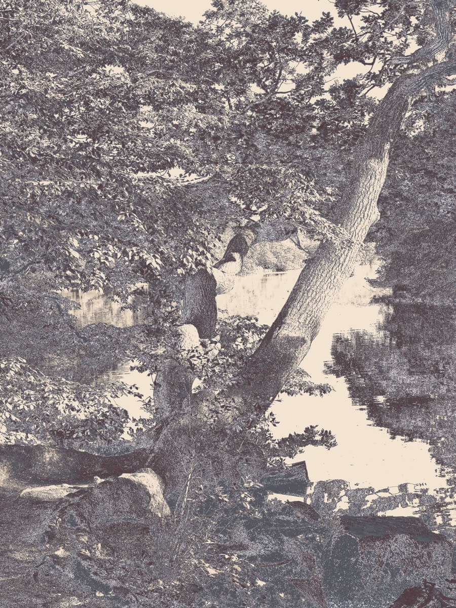 Besides the Water Pencil Art Artwork Print