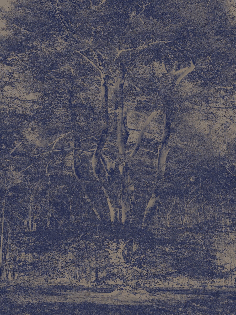 Canopy Large tree in blue Art Artwork Print