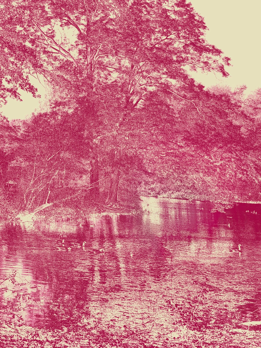 Emerald Necklace Project Scarboro Pond  (Pigeon Blood Ruby) Artwork Print