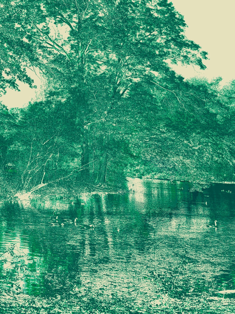 Emerald Necklace Project Scarboro Pond Emerald Artwork Print