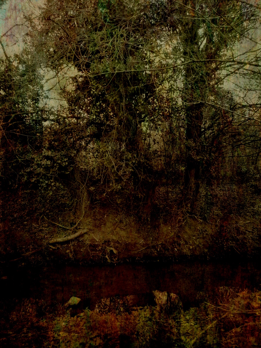 Stream 2014 Art Print