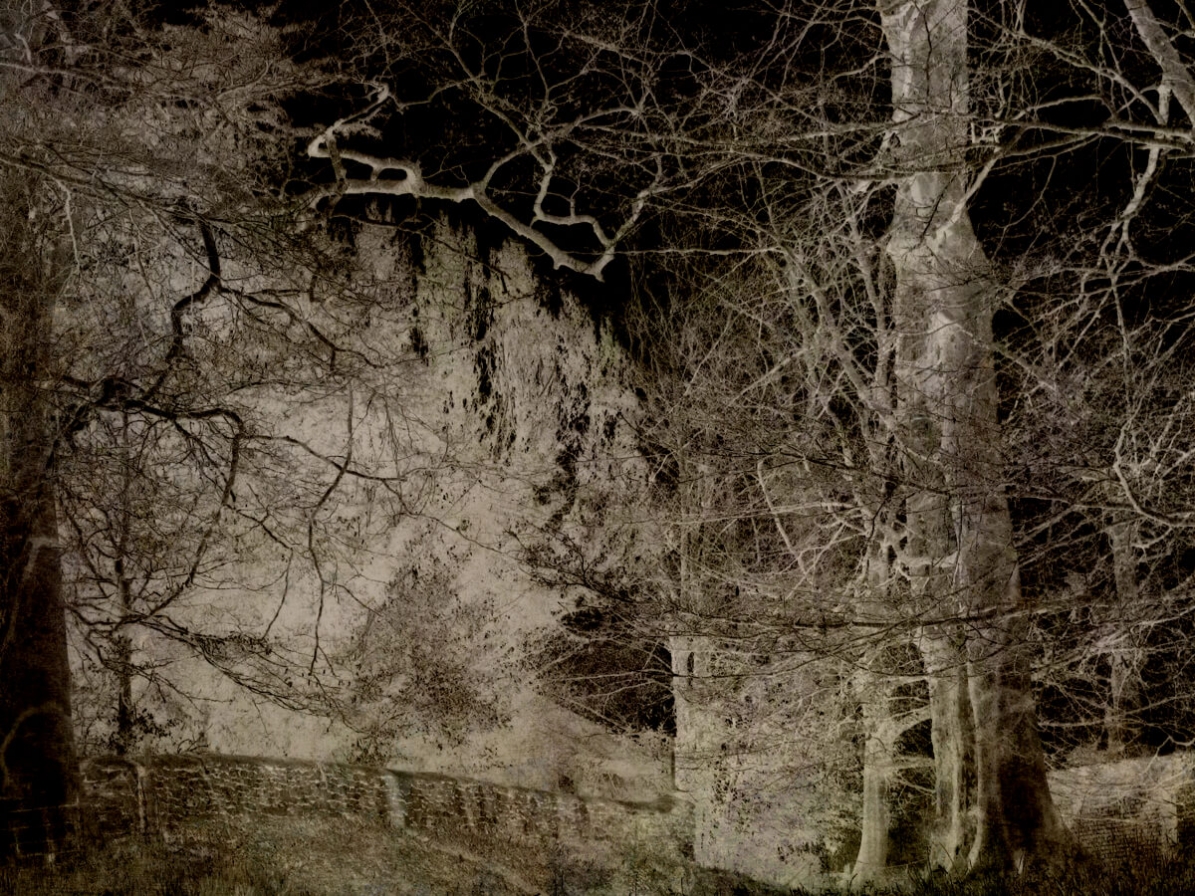 Fifehead Magdalen 2013 Digital Photograph Art