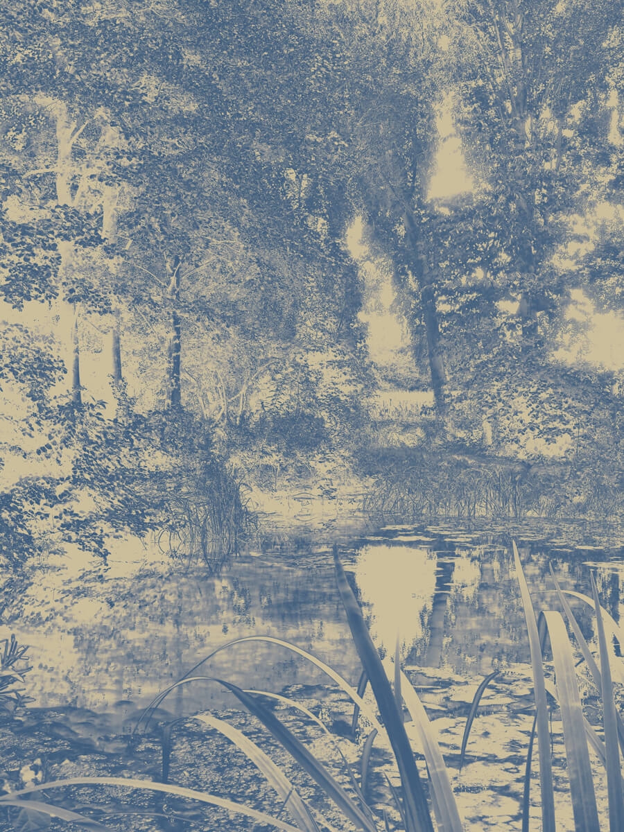 A Suffolk Garden. (Blue) 2021 Print Artwork A pond surrounded by trees