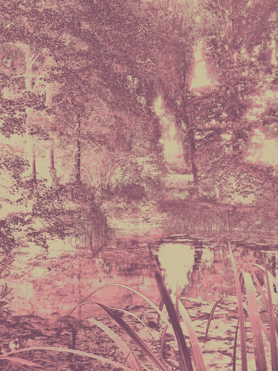 A Suffolk Garden (Old Pink) 2021 Print Artwork A pond surrounded by trees