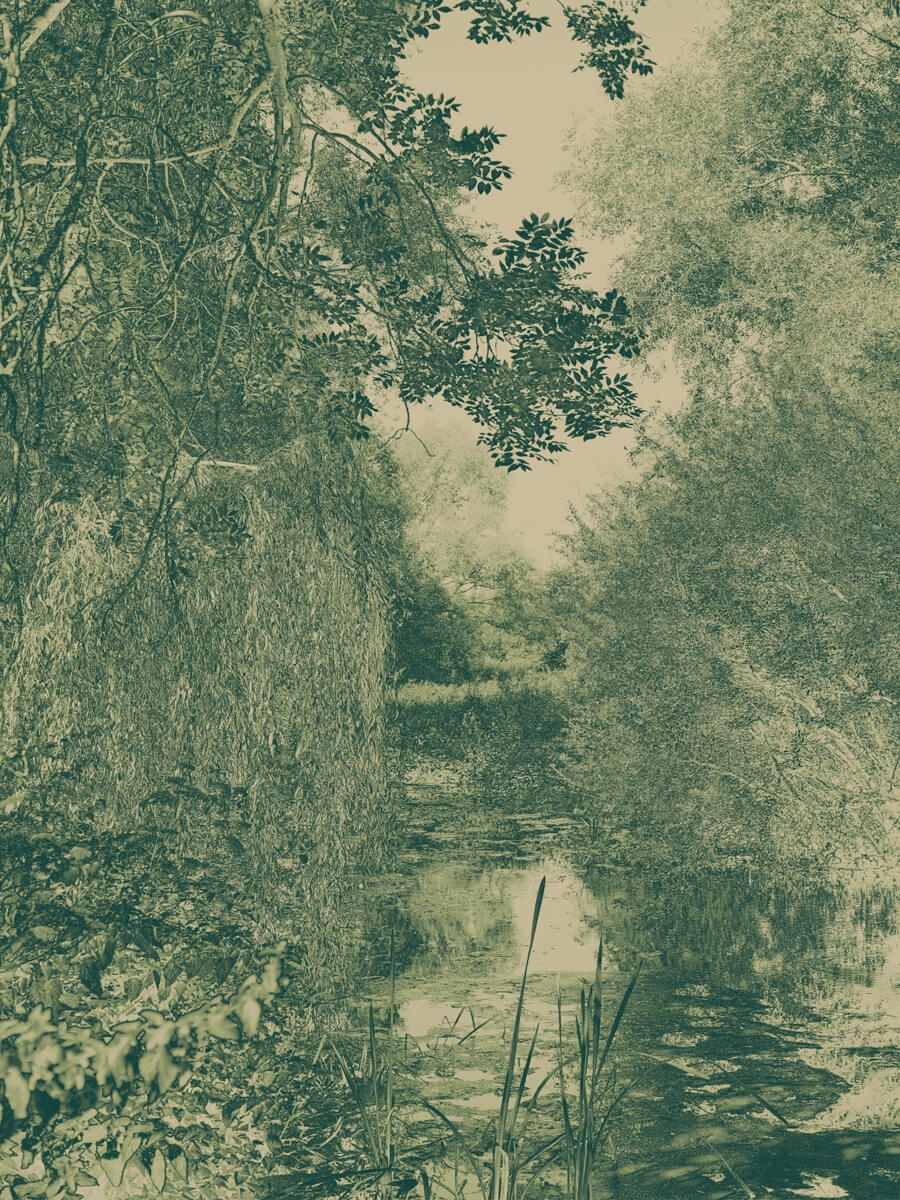 Houghton River view Sage Print Artwork